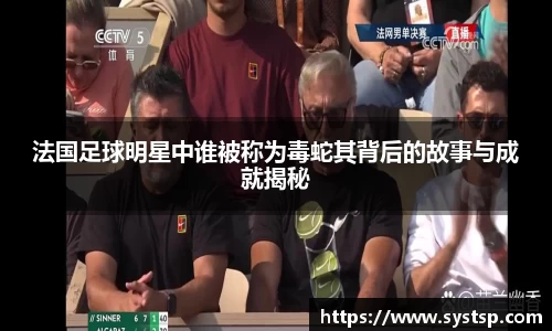 法国足球明星中谁被称为毒蛇其背后的故事与成就揭秘